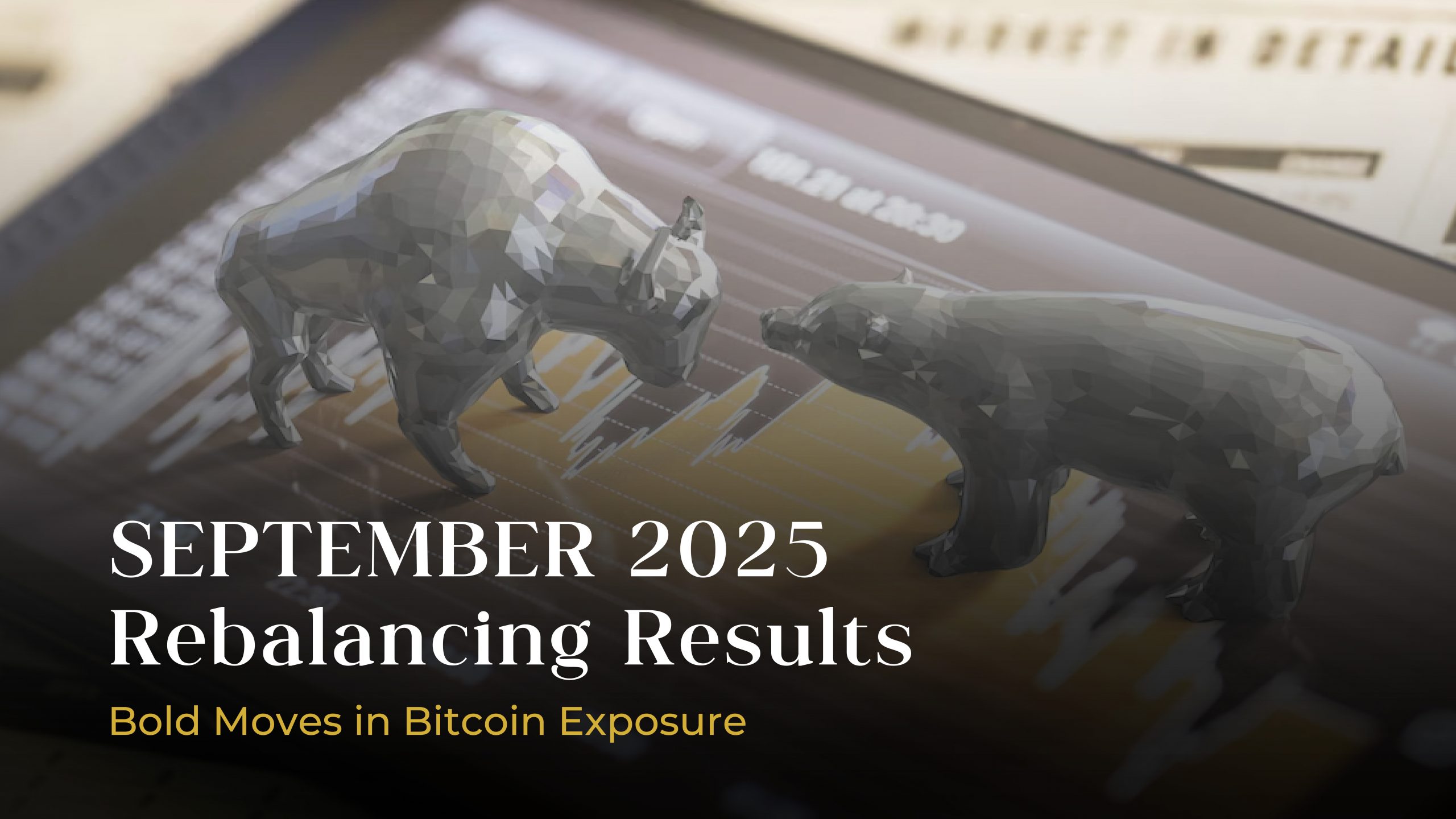 MC- news visual Thumbnails-03